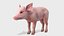 Piglet