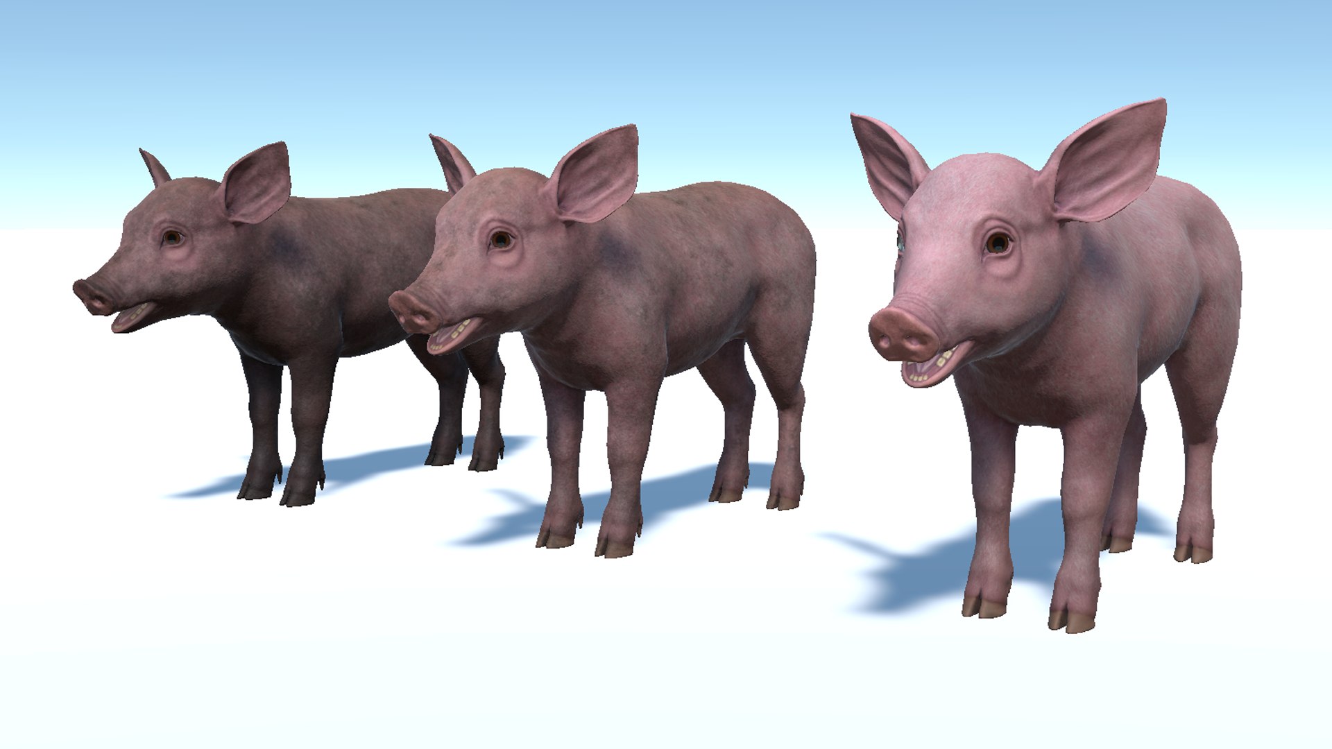 3D Piglet https://p.turbosquid.com/ts-thumb/5x/O2fe0h/Lk/7/png/1745851688/1920x1080/fit_q87/6eea84f9af94f49b5931fd683987109f9d6f1cb7/7.jpg