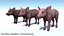Piglet