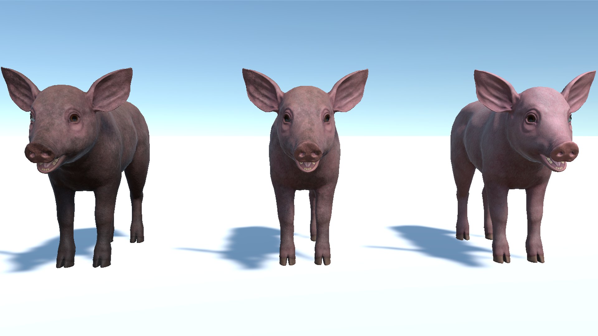 3D Piglet https://p.turbosquid.com/ts-thumb/5x/O2fe0h/rF/8/png/1745853965/1920x1080/fit_q87/c1dfa79f5af56092eac83e0d9ecbe18f143162d3/8.jpg