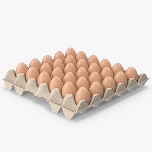 Egg Carton With Eggs model