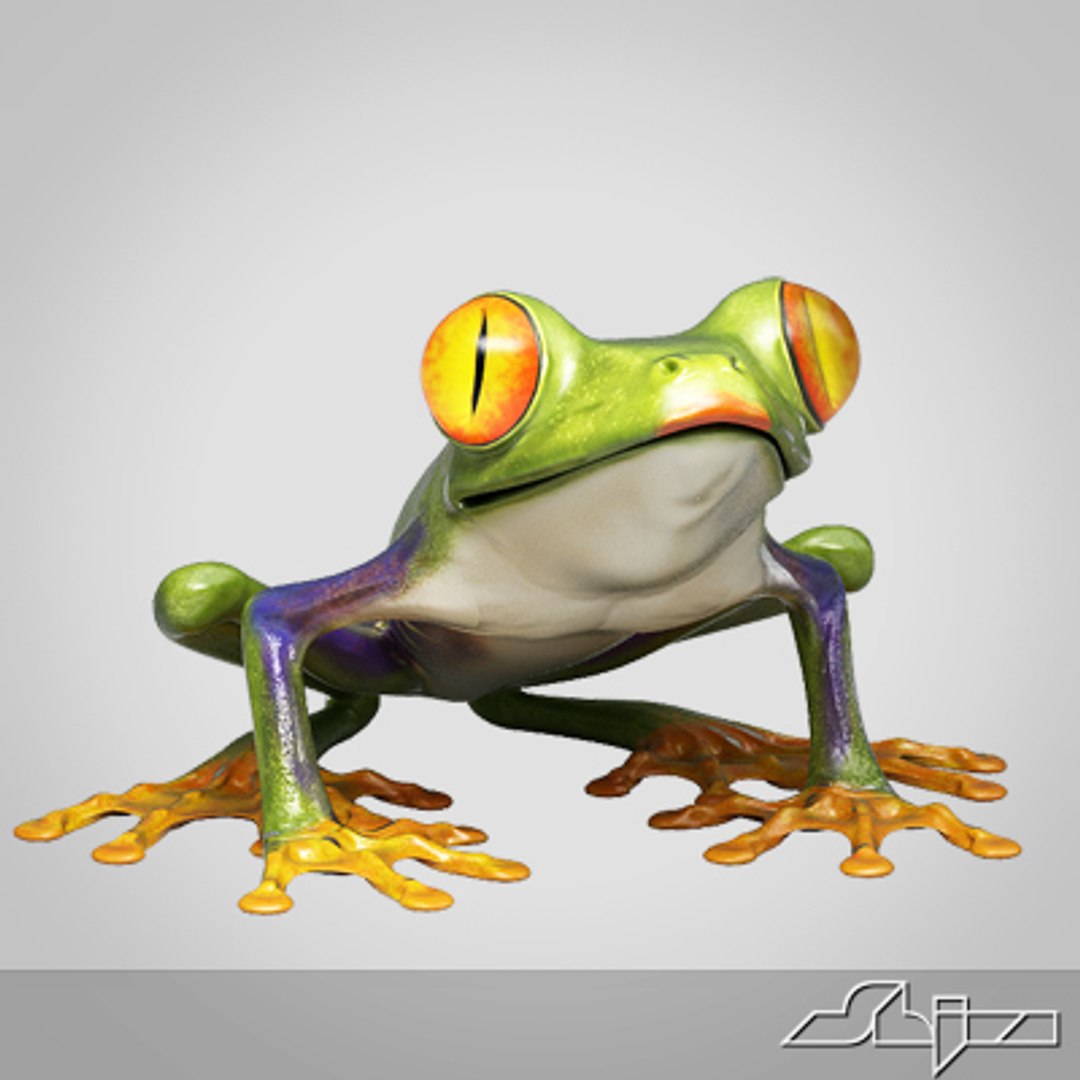 3d Model Frog Amphibian