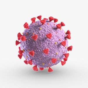3D Coronavirus SARs-CoV-2