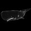 WHALE Sperm Whale Moby Dick 3D model