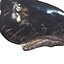 WHALE Sperm Whale Moby Dick 3D model