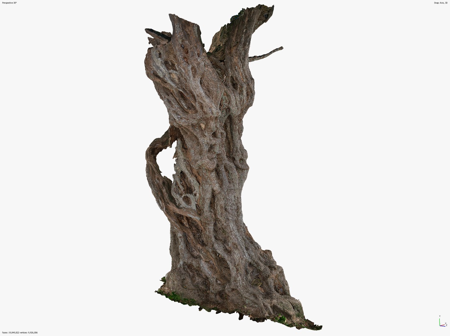4 Olive High-Resolution Tree 3D scans in One Bundle 3D https://p.turbosquid.com/ts-thumb/5x/eWFdrq/Yr/olivetree8__0023_screenshot_6_/jpg/1638175111/1920x1080/fit_q87/ffbe159e651117a534b902fb098d6f07d88cc822/olivetree8__0023_screenshot_6_.jpg