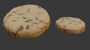3D Fennel Cookie Scan model