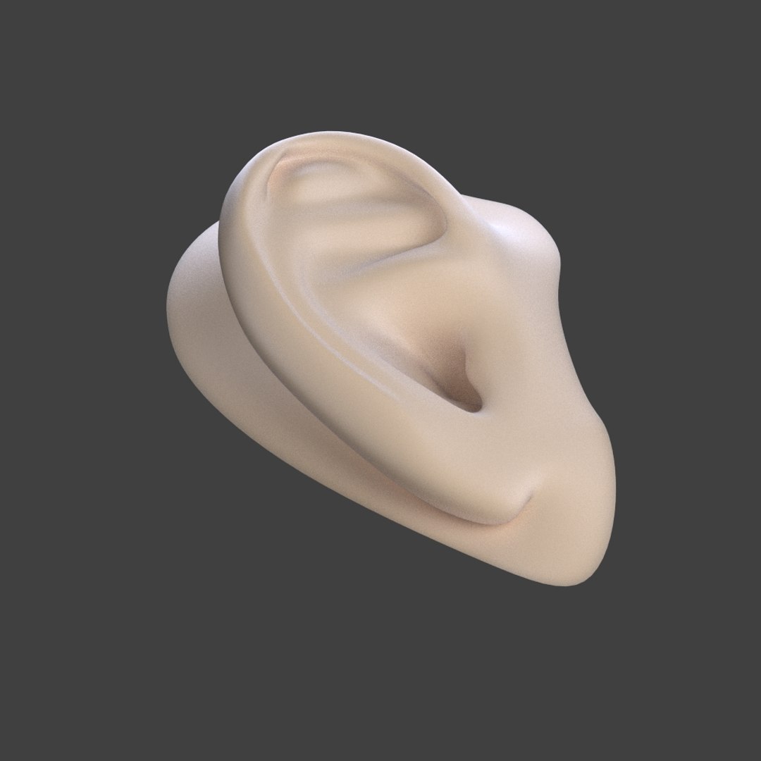Ears 3d