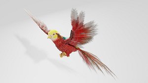 3D Golden Pheasant model