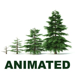 animated evergreen trees