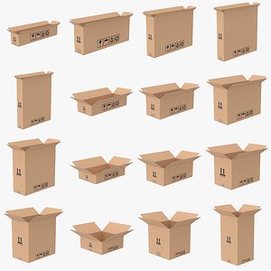 Cardboard Box Half Open Bundle