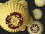 Echinocactus grusonii - Cactus Golden Barrell - HighPoly e LowPoly inclusi