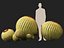 Echinocactus grusonii - Cactus Golden Barrell - HighPoly e LowPoly inclusi