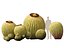 Echinocactus grusonii - Cactus Golden Barrell - HighPoly e LowPoly inclusi