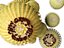 Echinocactus grusonii - Cactus Golden Barrell - HighPoly e LowPoly inclusi