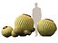 Echinocactus grusonii - Cactus Golden Barrell - HighPoly e LowPoly inclusi