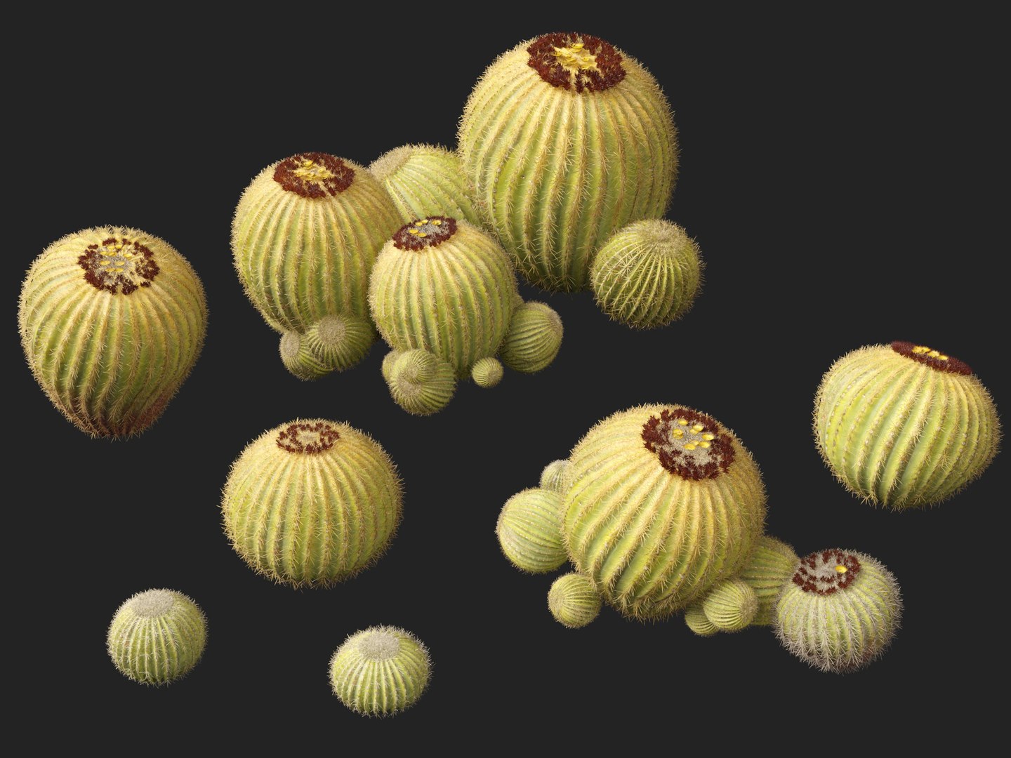 Echinocactus grusonii -  Golden Barrell Cactus - HighPoly And LowPoly Included 3D model https://p.turbosquid.com/ts-thumb/5y/9h2FpD/rK/echinocactusgrusonii0110/jpg/1731668938/1920x1080/fit_q87/95f9697afa6636556dee6e778c90ee4dffa9797d/echinocactusgrusonii0110.jpg