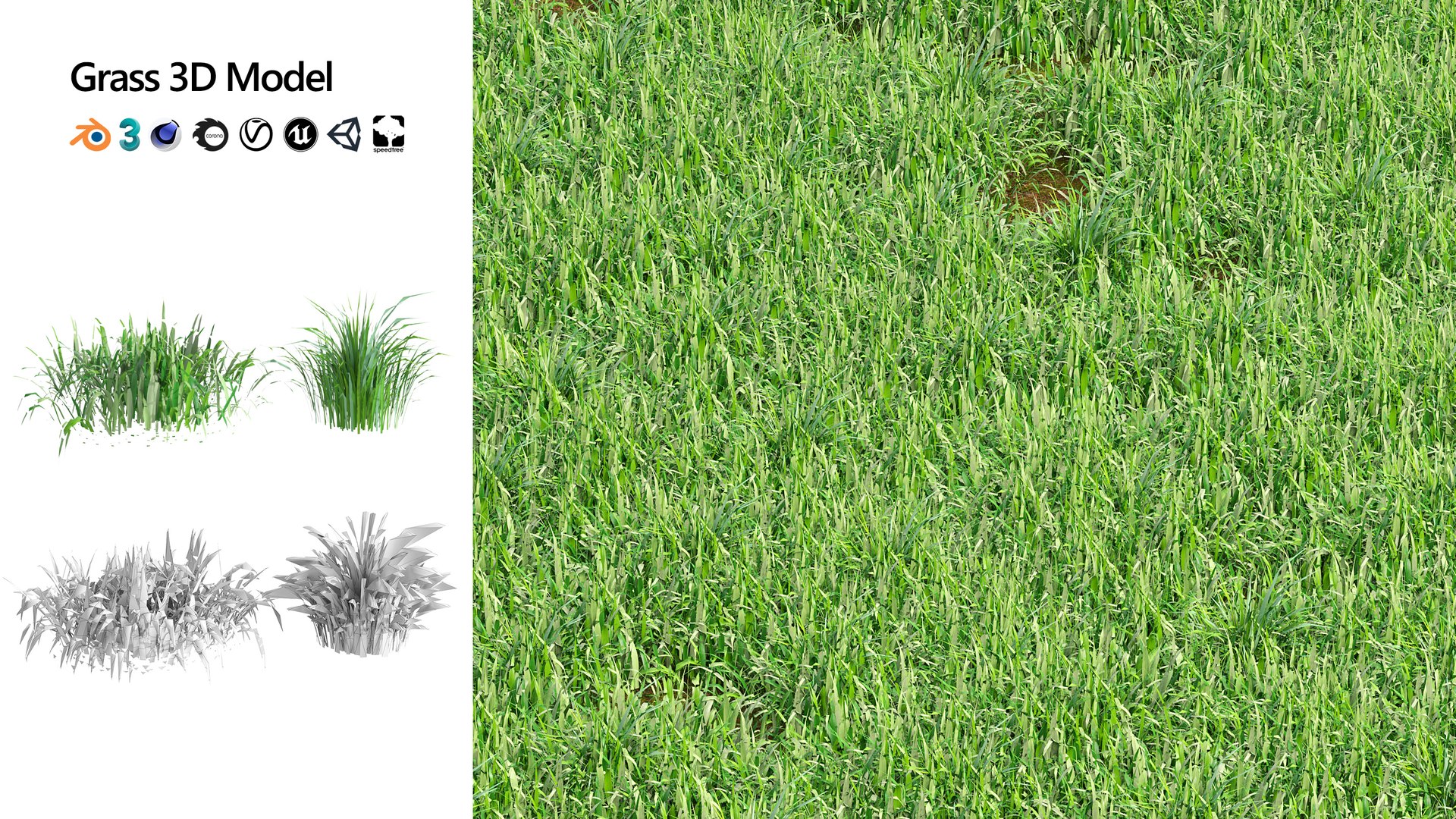 grass meadow blades 3D model https://p.turbosquid.com/ts-thumb/5y/LphdMY/VD/artcover/jpg/1696372814/1920x1080/fit_q87/869f9d1d356de0961c60dc2acf8a2532fd1593a0/artcover.jpg
