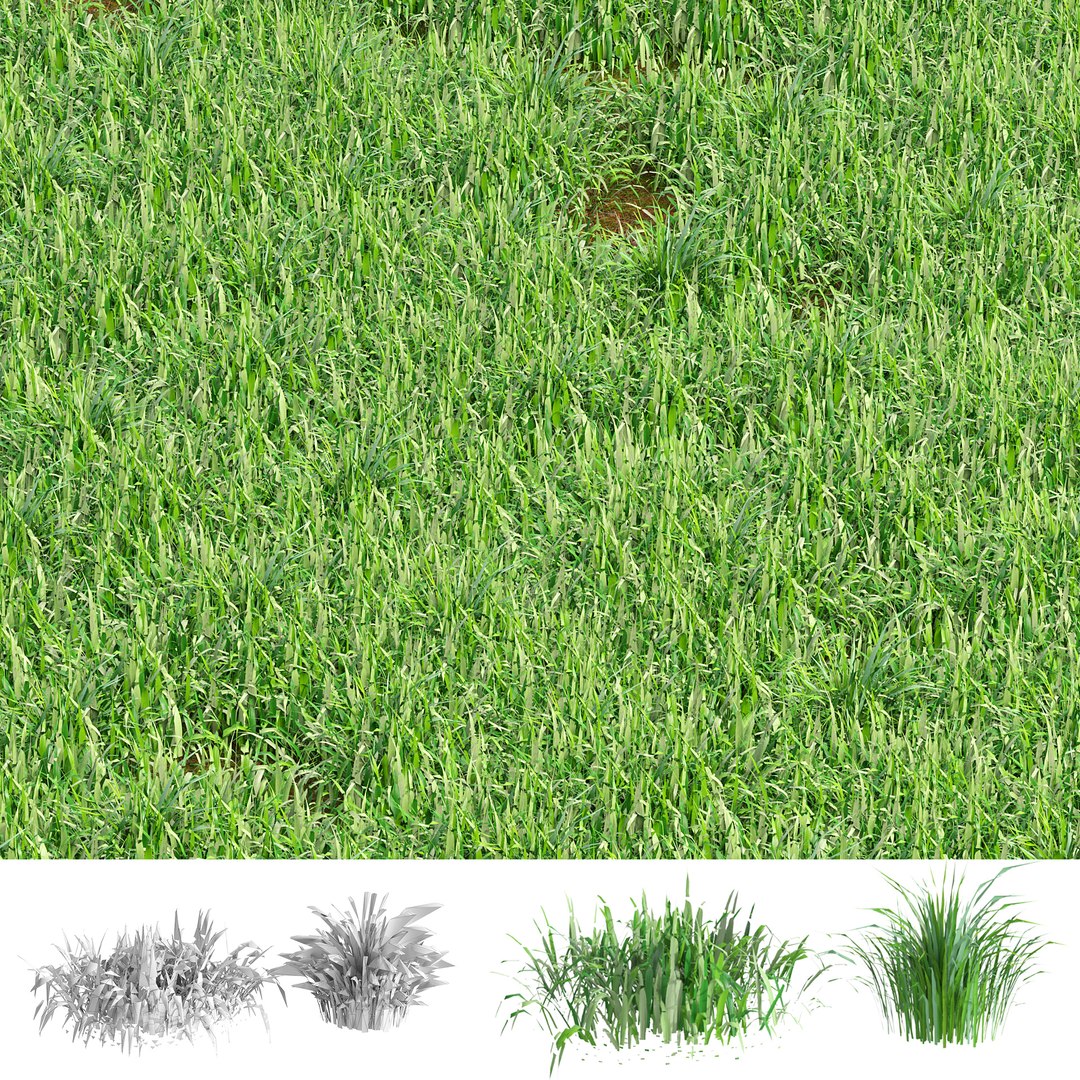 grass meadow blades 3D model https://p.turbosquid.com/ts-thumb/5y/LphdMY/lg/cover2/jpg/1696372817/1920x1080/fit_q87/0da60397920b0a1435dc7bafe0b3b599371e7381/cover2.jpg