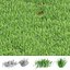 Graswiesenhalme 3D-Modell