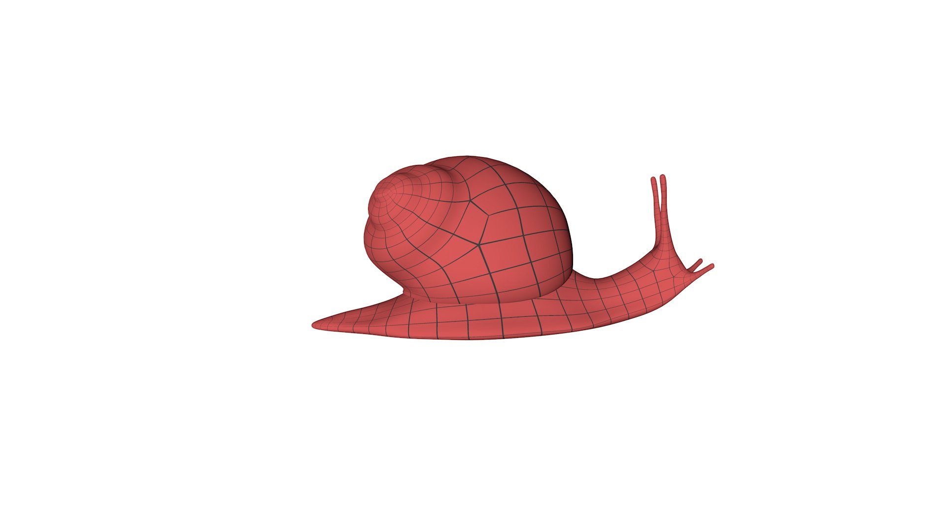 Base Mesh Snail 3D - TurboSquid 1661226