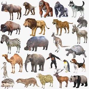 25 Animal Collection 3D model