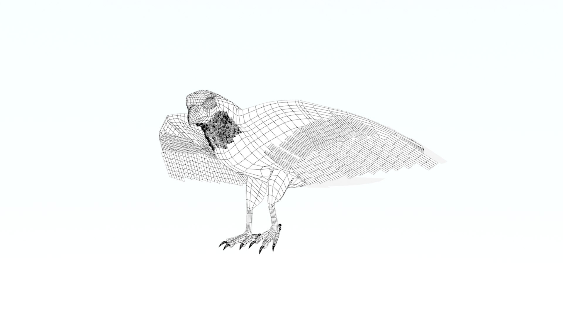 3D Peregrine Falcon Animated - TurboSquid 2066577