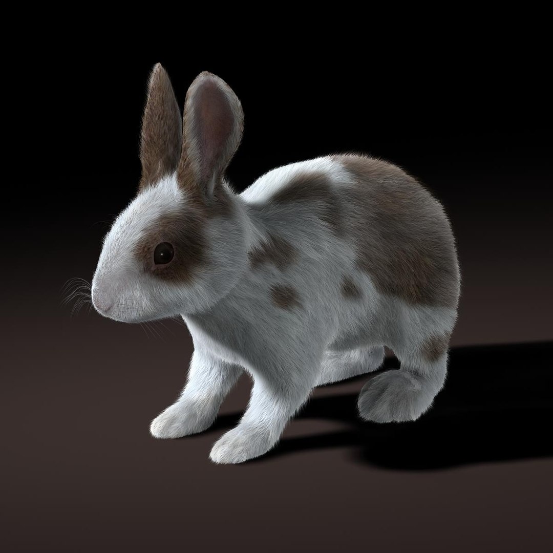 Rabbit Spotted Rigged Fur Ma