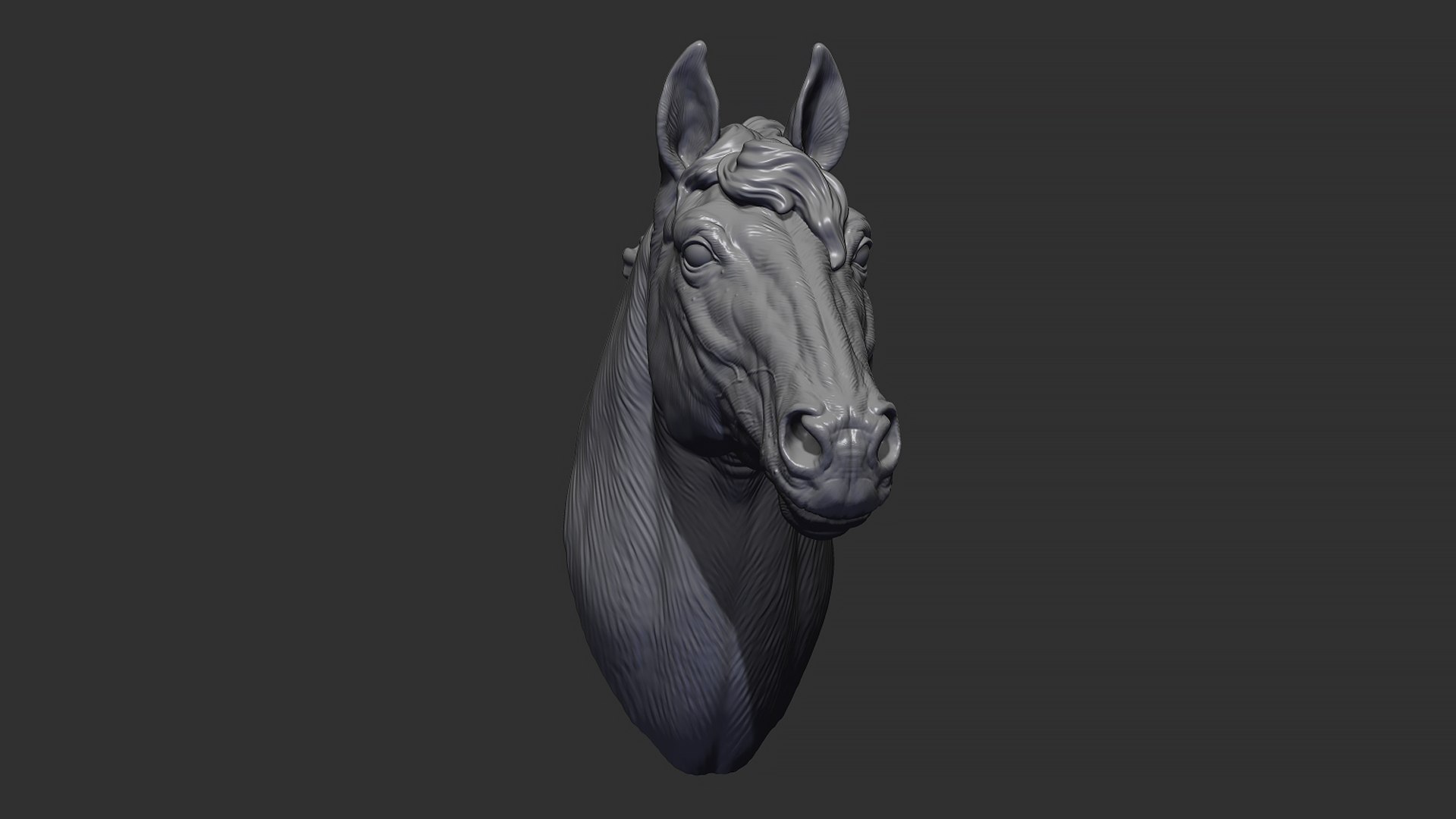 Horse With A Mane 3D Model - TurboSquid 2034640
