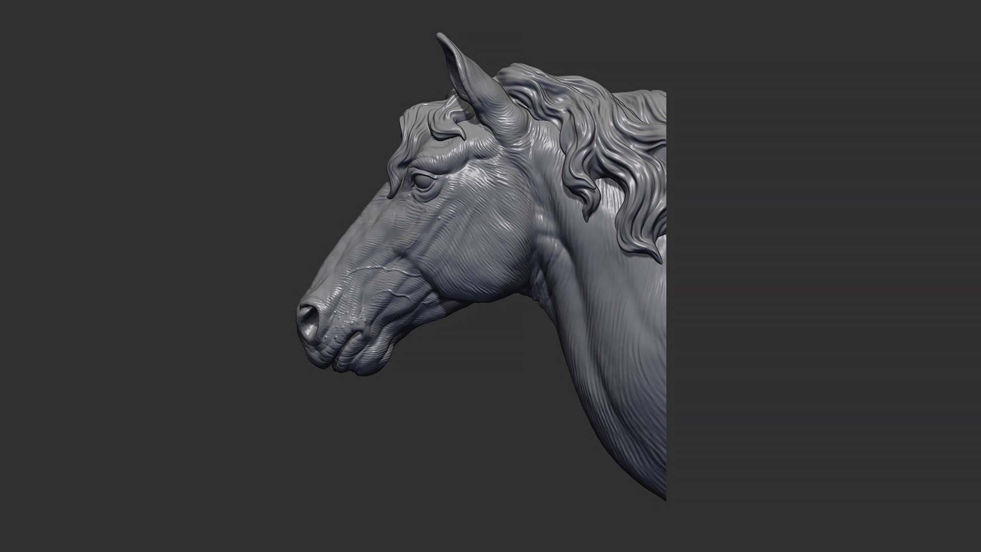 Horse With A Mane 3D Model - TurboSquid 2034640
