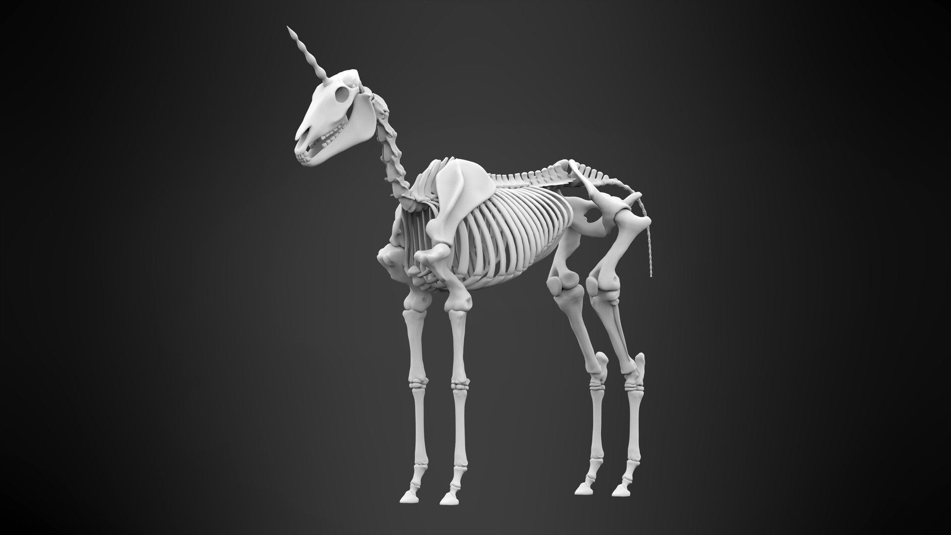 Unicorn Skeleton 3D TurboSquid 1524382