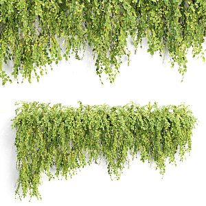 Low Poly Hanging wall plants N51803 3D