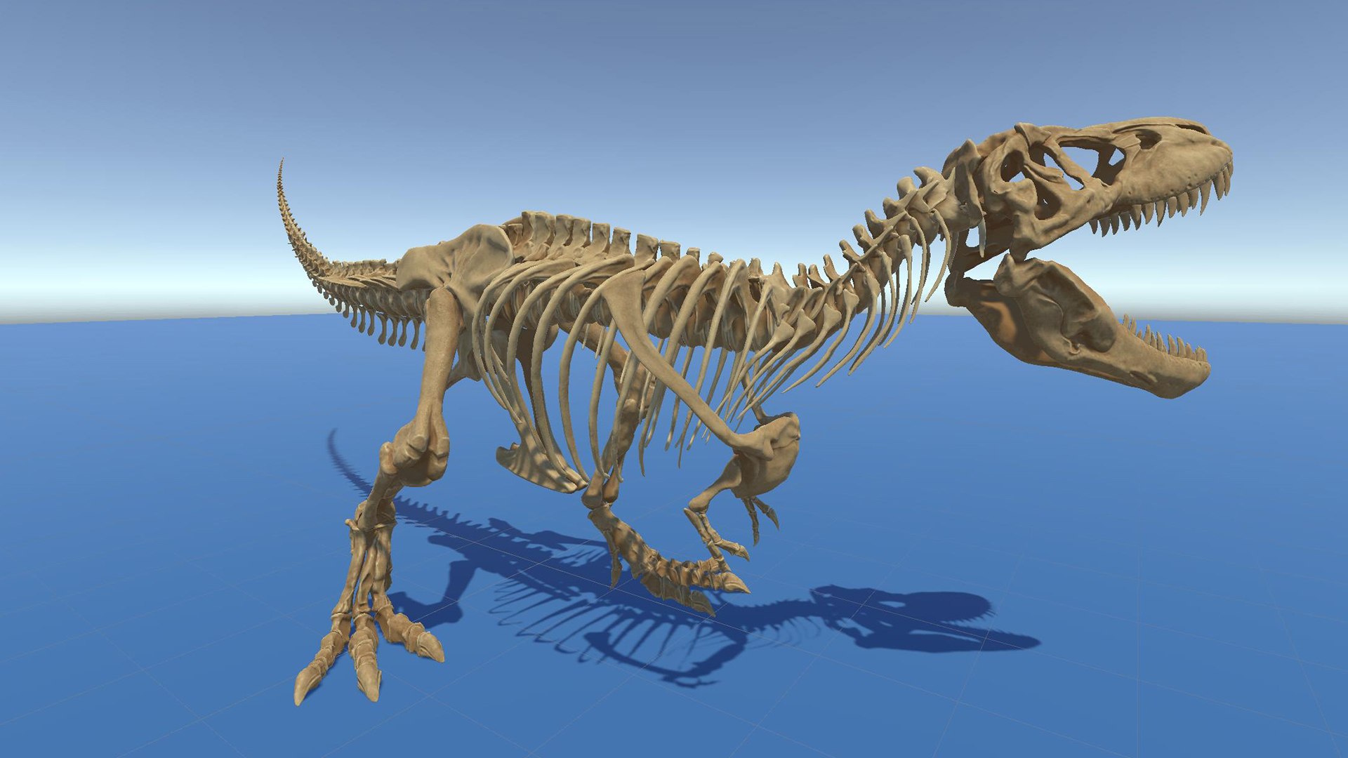 Tyrannosaurus Rex Sue Skeleton UnrealEngine - Unity - Maya FBX 3D model ...