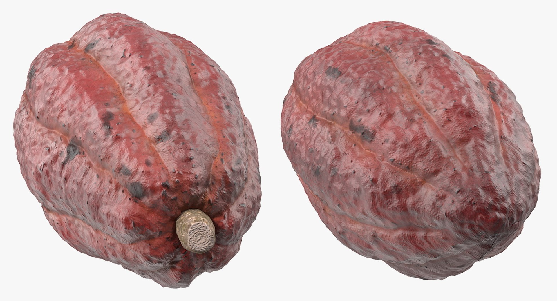 3D brown cocoa fruit https://p.turbosquid.com/ts-thumb/5z/J3jSu0/285wM3Fy/browncocoafruitmb3dmodel004/jpg/1548928467/1920x1080/fit_q87/aab3b384a5e5936c50e30050b6d9e385790fd03d/browncocoafruitmb3dmodel004.jpg