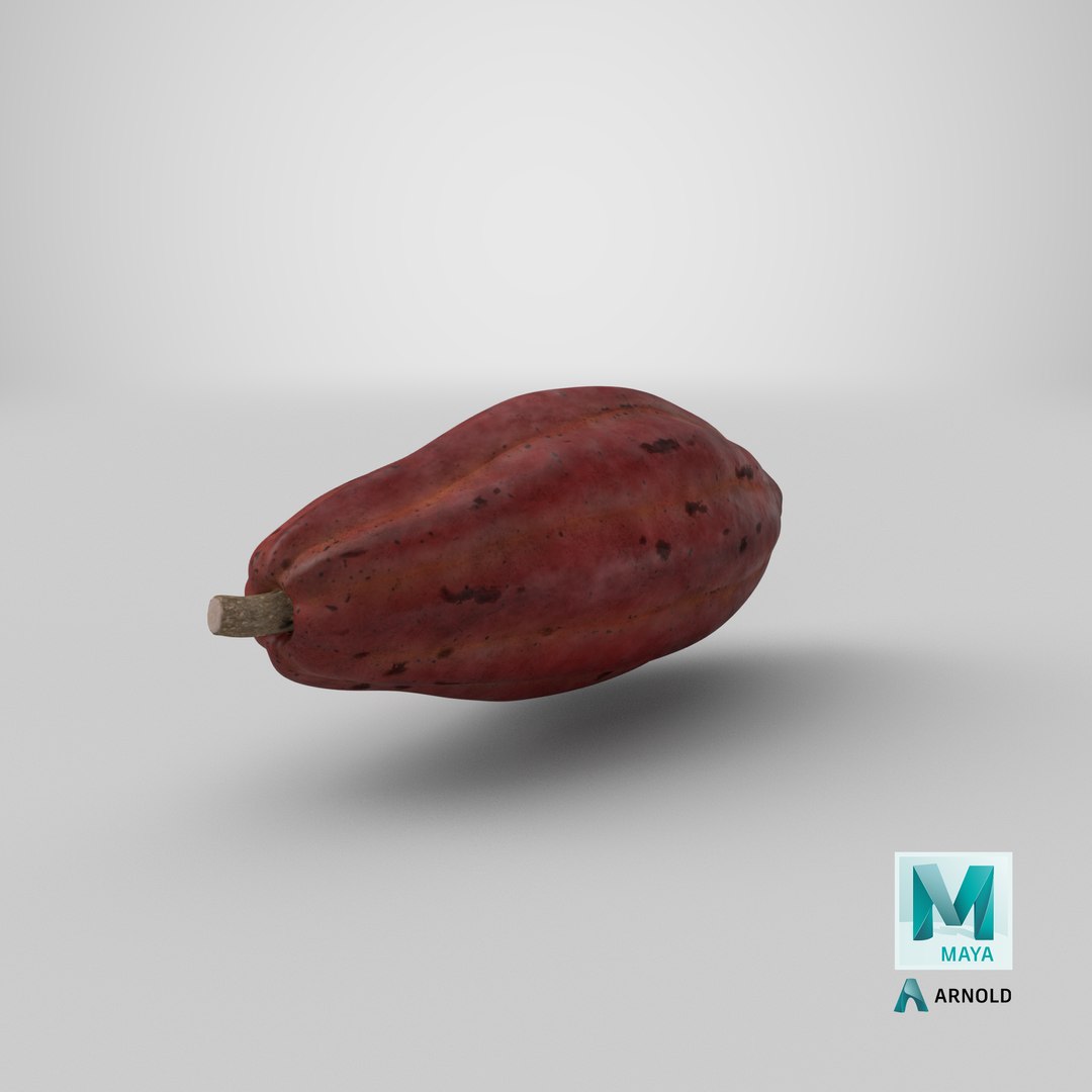 3D brown cocoa fruit https://p.turbosquid.com/ts-thumb/5z/J3jSu0/A5yOLCDw/stemcell_maya_arnold_render/png/1576646014/1920x1080/fit_q87/37ae9f4c0e53256024a01d665f6c6f9fea048283/stemcell_maya_arnold_render.jpg