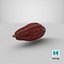 3D brown cocoa fruit