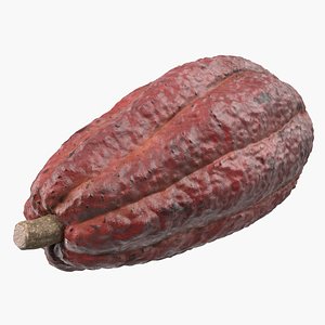 Brown Cocoa Fruit