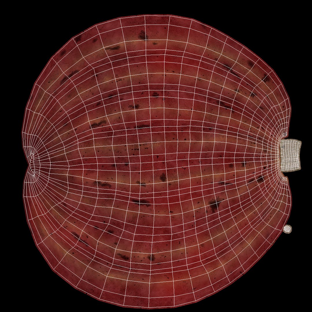 3D brown cocoa fruit https://p.turbosquid.com/ts-thumb/5z/J3jSu0/zn1K3zdX/browncocoafruitmb3dmodel010/jpg/1548928494/1920x1080/fit_q87/38288a27c4968bcf695af554137478c25eb4192d/browncocoafruitmb3dmodel010.jpg