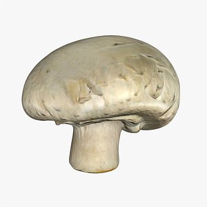 3D mushroom scanned