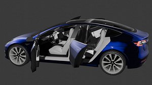 Tesla Model 3 2019-2022