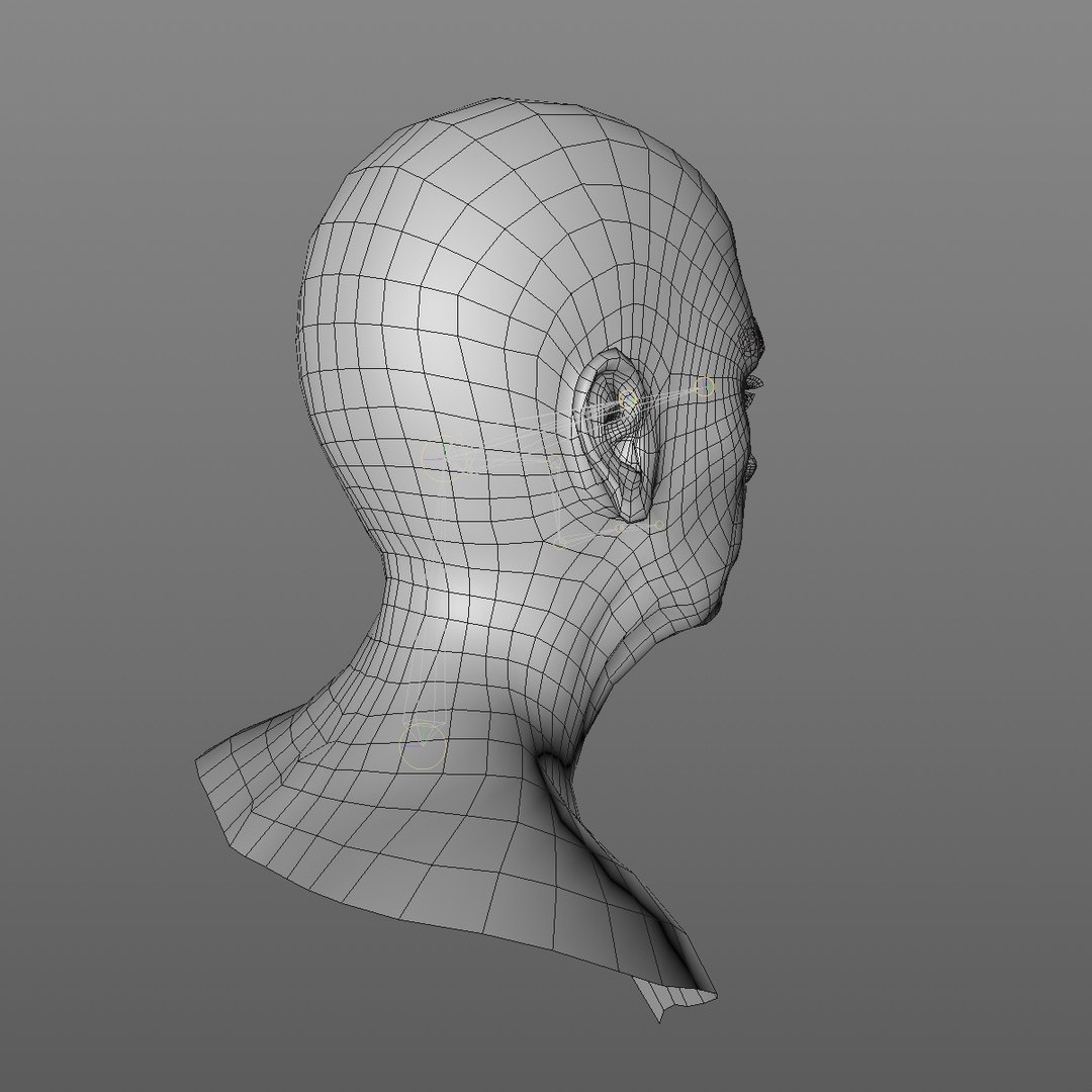 realistic rigged head 70 3D https://p.turbosquid.com/ts-thumb/5z/aU4pdg/1UkqDfIR/70yreurowomanheadv12_0008/jpg/1566517193/1920x1080/fit_q87/ee31e772a82834f4f869f076d23a34a87229ce7f/70yreurowomanheadv12_0008.jpg