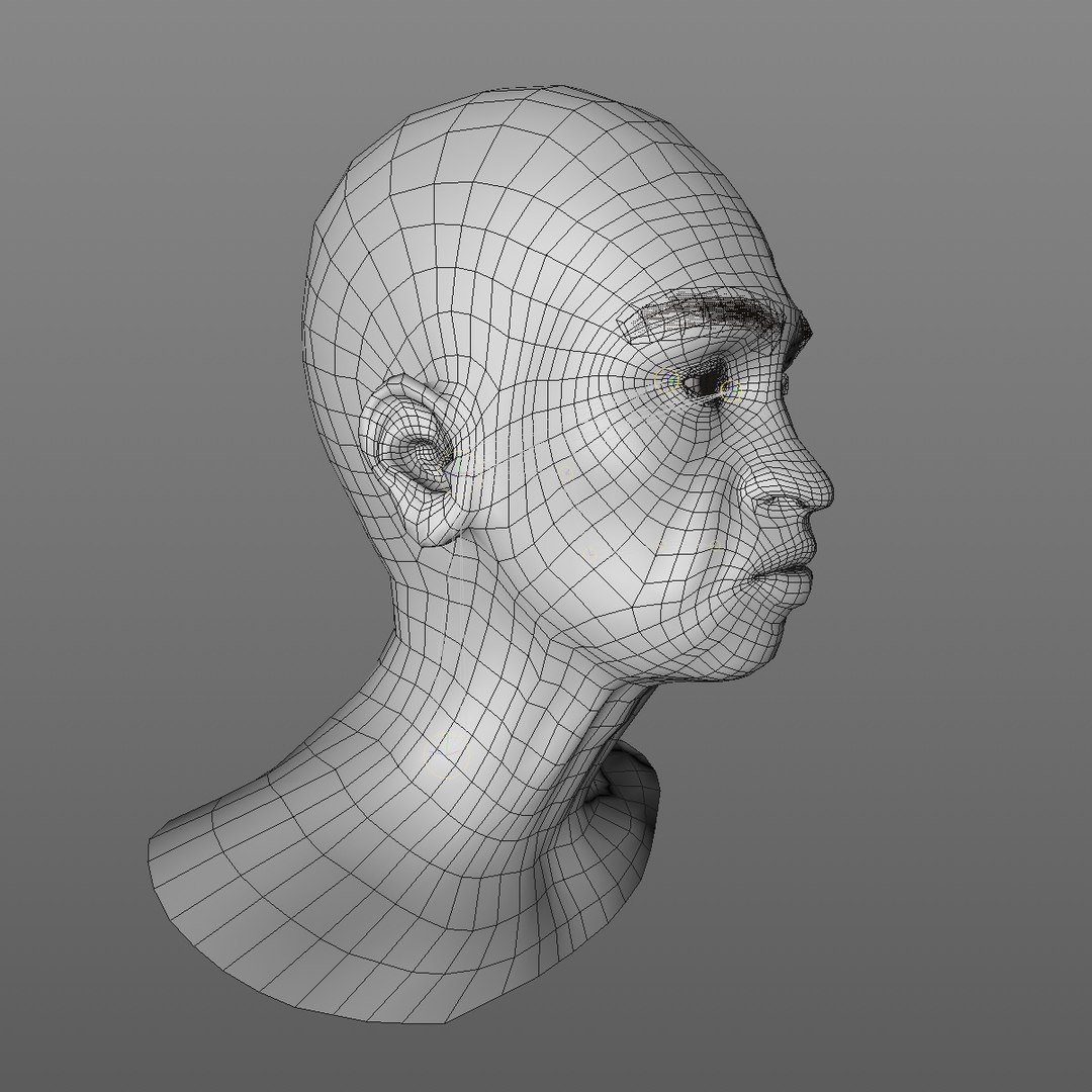 realistic rigged head 70 3D https://p.turbosquid.com/ts-thumb/5z/aU4pdg/1cTjcmvc/70yroldafricanwomanheadv12_0010/jpg/1566517440/1920x1080/fit_q87/0dbea4517ffdb626499e60aff1212fa366dbbe19/70yroldafricanwomanheadv12_0010.jpg
