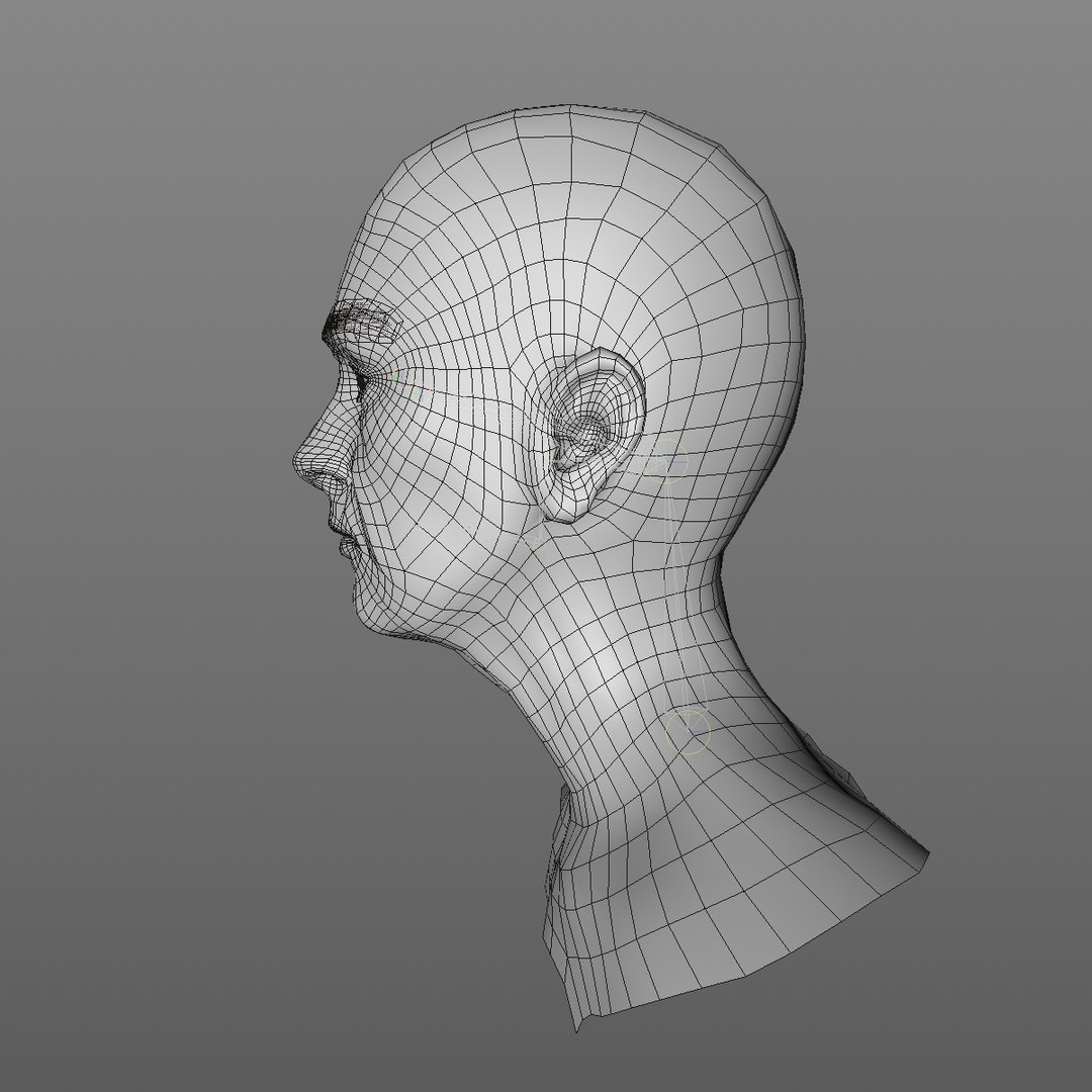 realistic rigged head 70 3D https://p.turbosquid.com/ts-thumb/5z/aU4pdg/2kdElH7e/70yreurowomanheadv12_0003/jpg/1566517193/1920x1080/fit_q87/4106b43e753c3b256c6893bcf334e8fa1f06d7f2/70yreurowomanheadv12_0003.jpg
