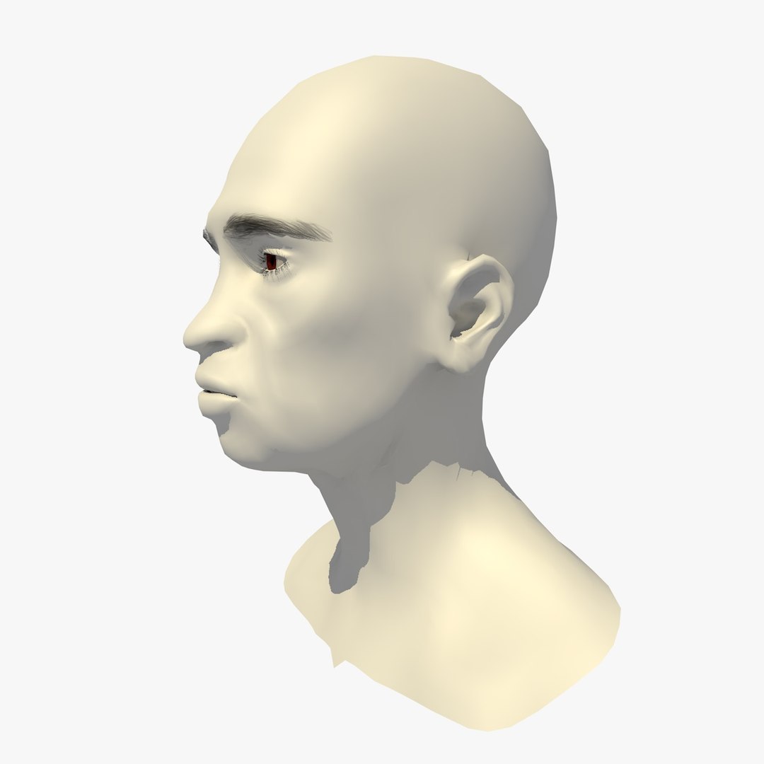 realistic rigged head 70 3D https://p.turbosquid.com/ts-thumb/5z/aU4pdg/4wPQxeL7/70yroldafricanwomanheadv21_0002/jpg/1566517628/1920x1080/fit_q87/affd69c47ca3ff20da7f01992b78940ec125e52c/70yroldafricanwomanheadv21_0002.jpg
