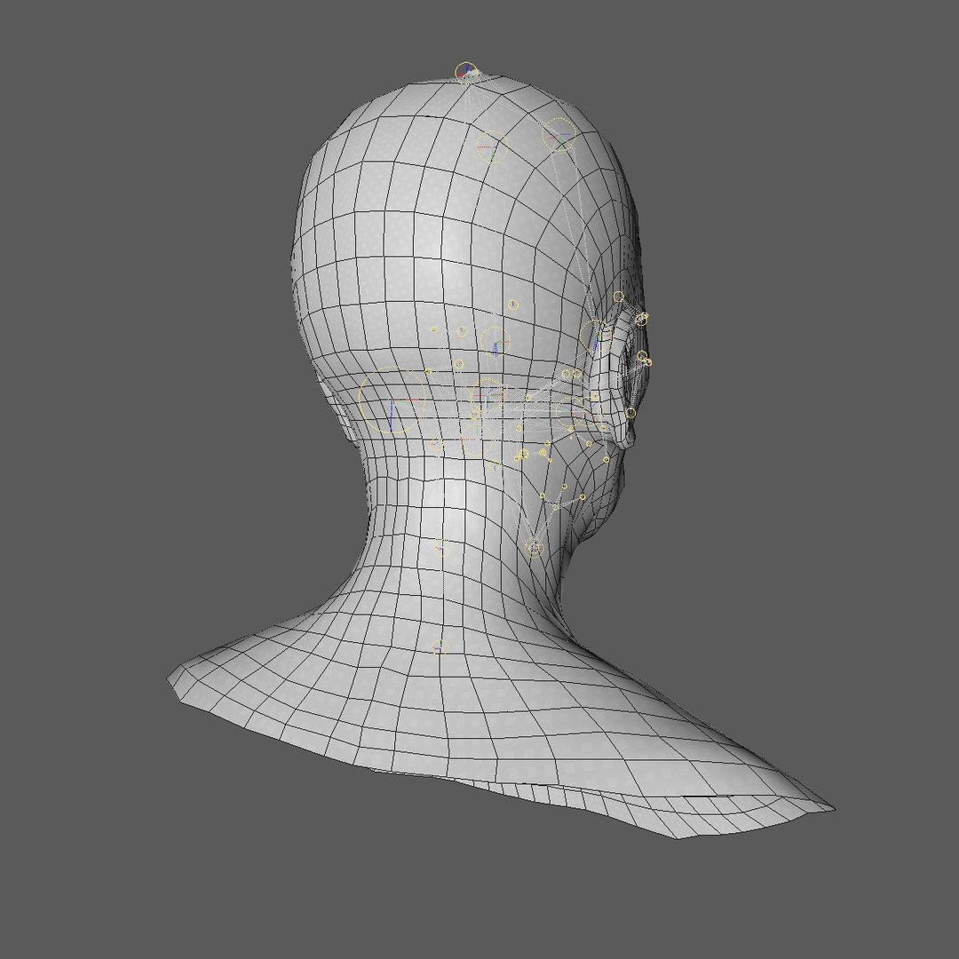 realistic rigged head 70 3D https://p.turbosquid.com/ts-thumb/5z/aU4pdg/7lUCR5NP/70yreurowomanheadv21_0007/jpg/1566517317/1920x1080/fit_q87/b4392c0bbec43897e25367377dad33e8c321ab96/70yreurowomanheadv21_0007.jpg
