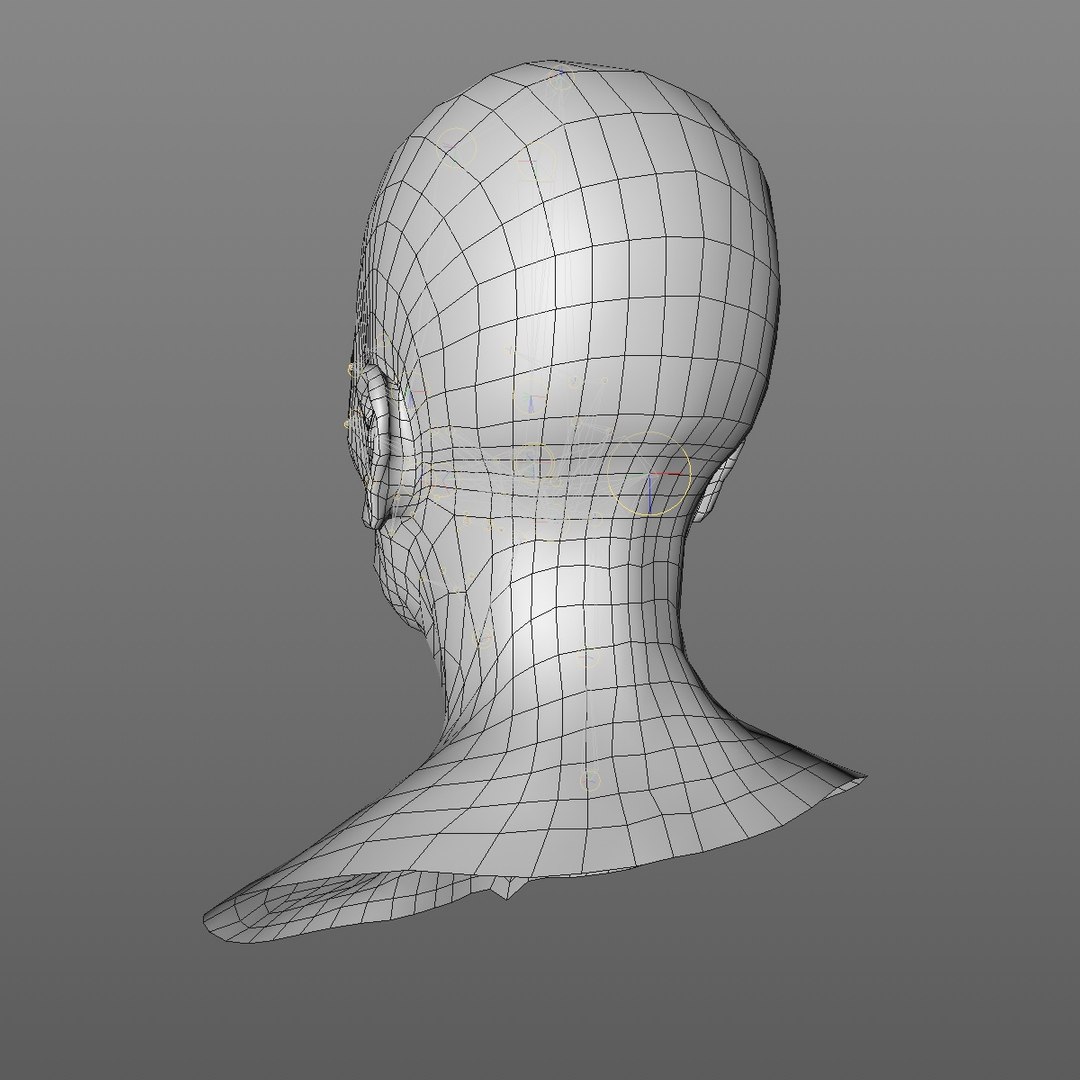 realistic rigged head 70 3D https://p.turbosquid.com/ts-thumb/5z/aU4pdg/8nLWA1od/70yroldafricanwomanheadv22_0005/jpg/1566517630/1920x1080/fit_q87/937e617086654c759603f123ed59d5ed4470939d/70yroldafricanwomanheadv22_0005.jpg