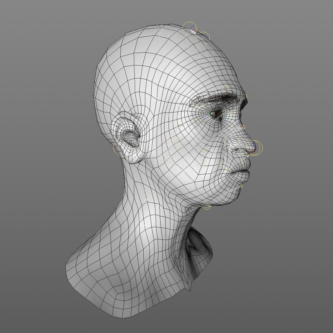 realistic rigged head 70 3D https://p.turbosquid.com/ts-thumb/5z/aU4pdg/A82FWwrB/70yroldafricanwomanheadv22_0010/jpg/1566517630/1920x1080/fit_q87/db57f433dfe57ae3a8325094ba4ba0c4ee4560b3/70yroldafricanwomanheadv22_0010.jpg