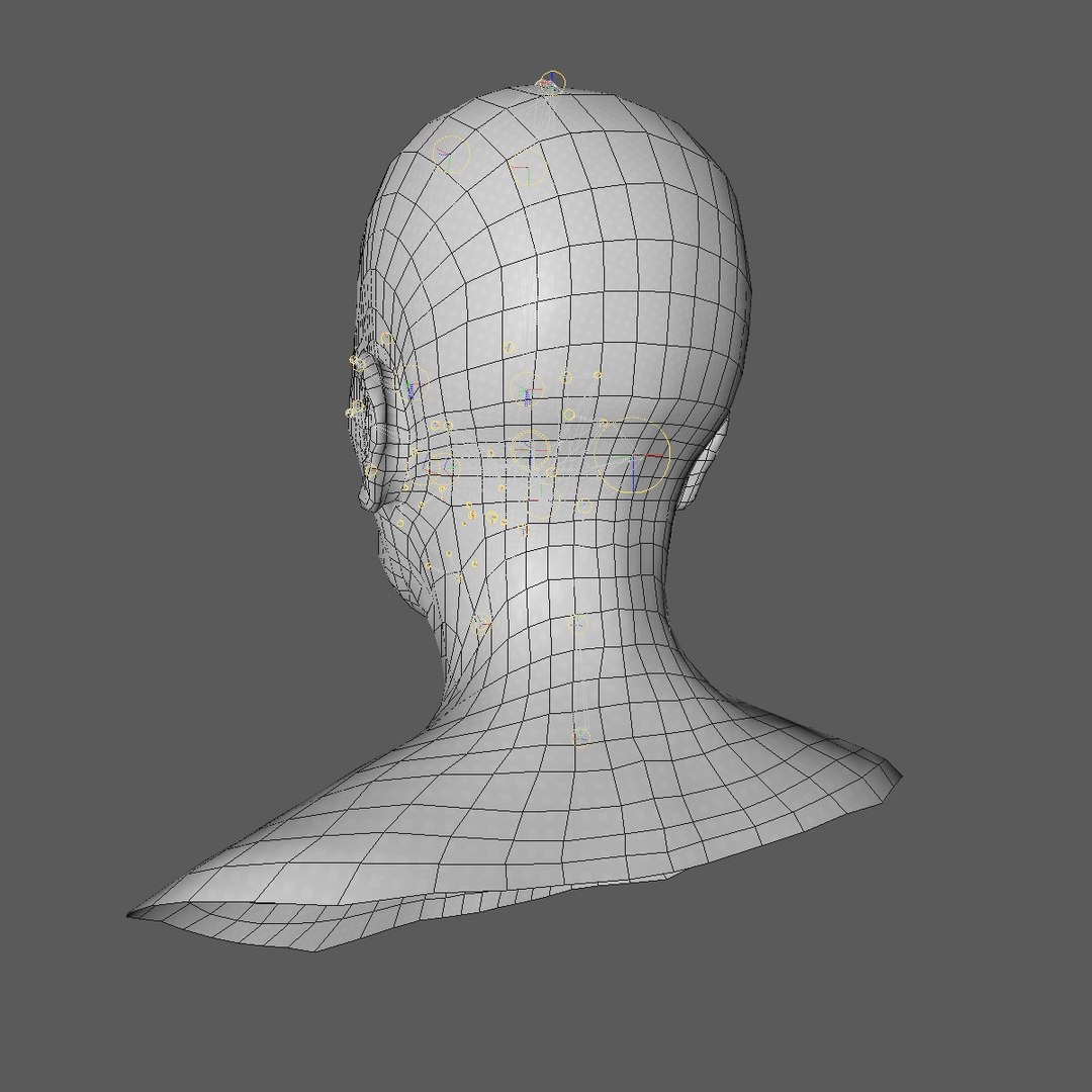 realistic rigged head 70 3D https://p.turbosquid.com/ts-thumb/5z/aU4pdg/B894T9iq/70yreurowomanheadv21_0005/jpg/1566517317/1920x1080/fit_q87/1a28dcc76ac7eca1229b93f5f3c1c484c1cc36f1/70yreurowomanheadv21_0005.jpg