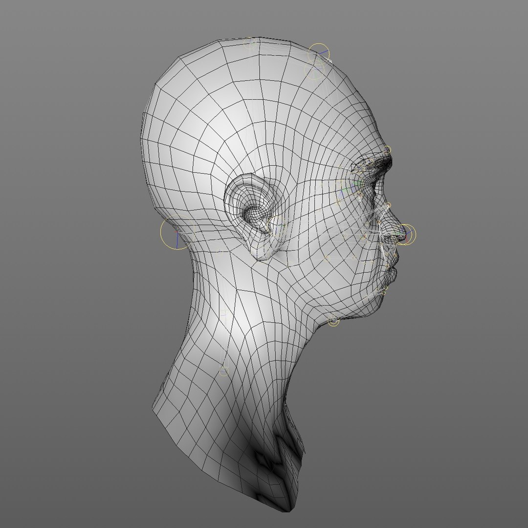realistic rigged head 70 3D https://p.turbosquid.com/ts-thumb/5z/aU4pdg/CO4bOisf/70yroldafricanwomanheadv22_0009/jpg/1566517630/1920x1080/fit_q87/e32c813fbecdc19bb5f3495843d56f3580871397/70yroldafricanwomanheadv22_0009.jpg