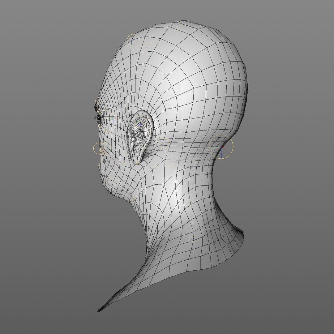 realistic rigged head 70 3D https://p.turbosquid.com/ts-thumb/5z/aU4pdg/FA5q9Xwx/70yroldafricanwomanheadv22_0004/jpg/1566517630/1920x1080/fit_q87/deac7b2ec1bded079756a373a191cec9da0743e9/70yroldafricanwomanheadv22_0004.jpg